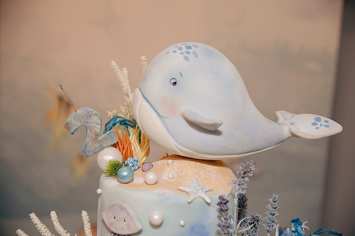 aniversario - aniversario infantil - festa de aniversario - Pedro 2 anos - fotografia infantil - fotografos jaragua do sul - chroma fotografia 