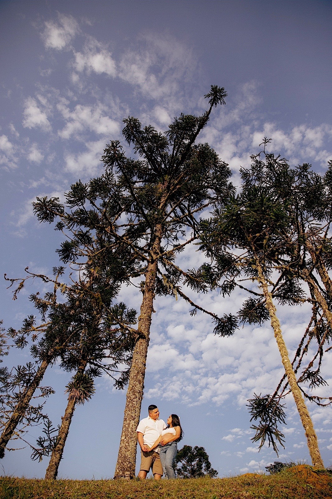 ensaio gestante - ensaio fotografico - ensaio familia - ensaio externo - ensaio no campo - fotografos jaragua do sul - fotografia de familia - chroma fotografia 