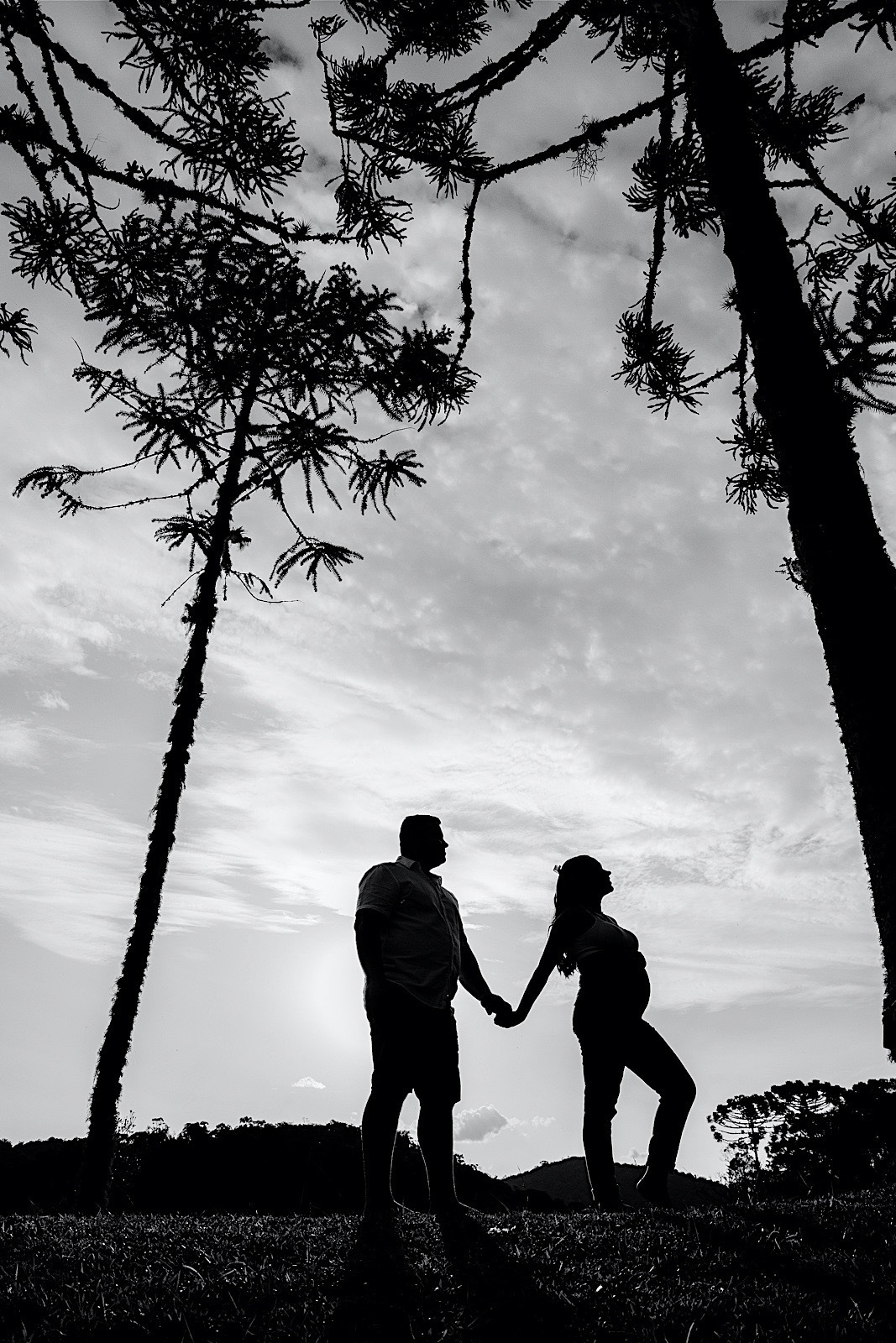 ensaio gestante - ensaio fotografico - ensaio familia - ensaio externo - ensaio no campo - fotografos jaragua do sul - fotografia de familia - chroma fotografia 