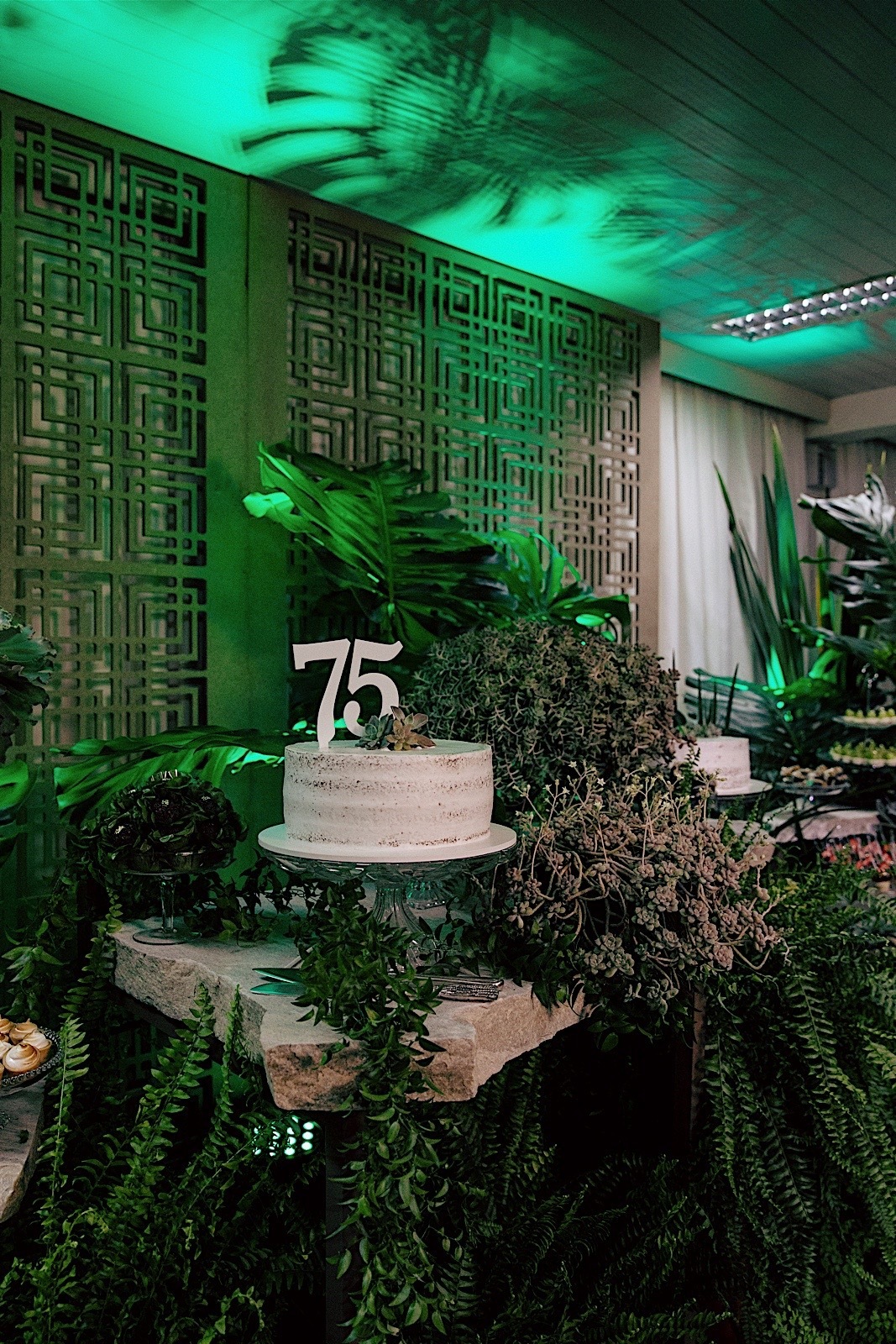 aniversario - aniversario adulto - aniversario em jaragua do sul - festa no clube baependi - fotografos jaragua do sul - fotografia de familia - jaragua do sul - chroma fotografia