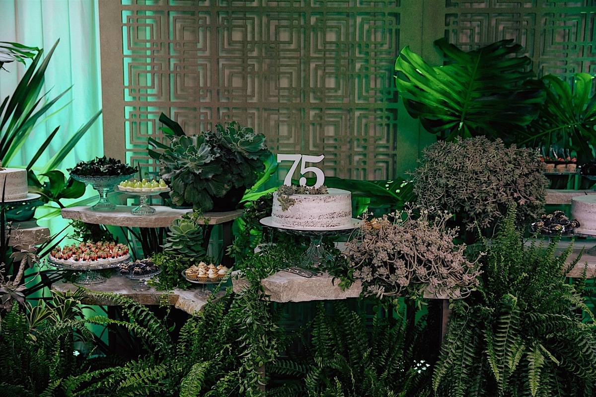 aniversario - aniversario adulto - aniversario em jaragua do sul - festa no clube baependi - fotografos jaragua do sul - fotografia de familia - jaragua do sul - chroma fotografia