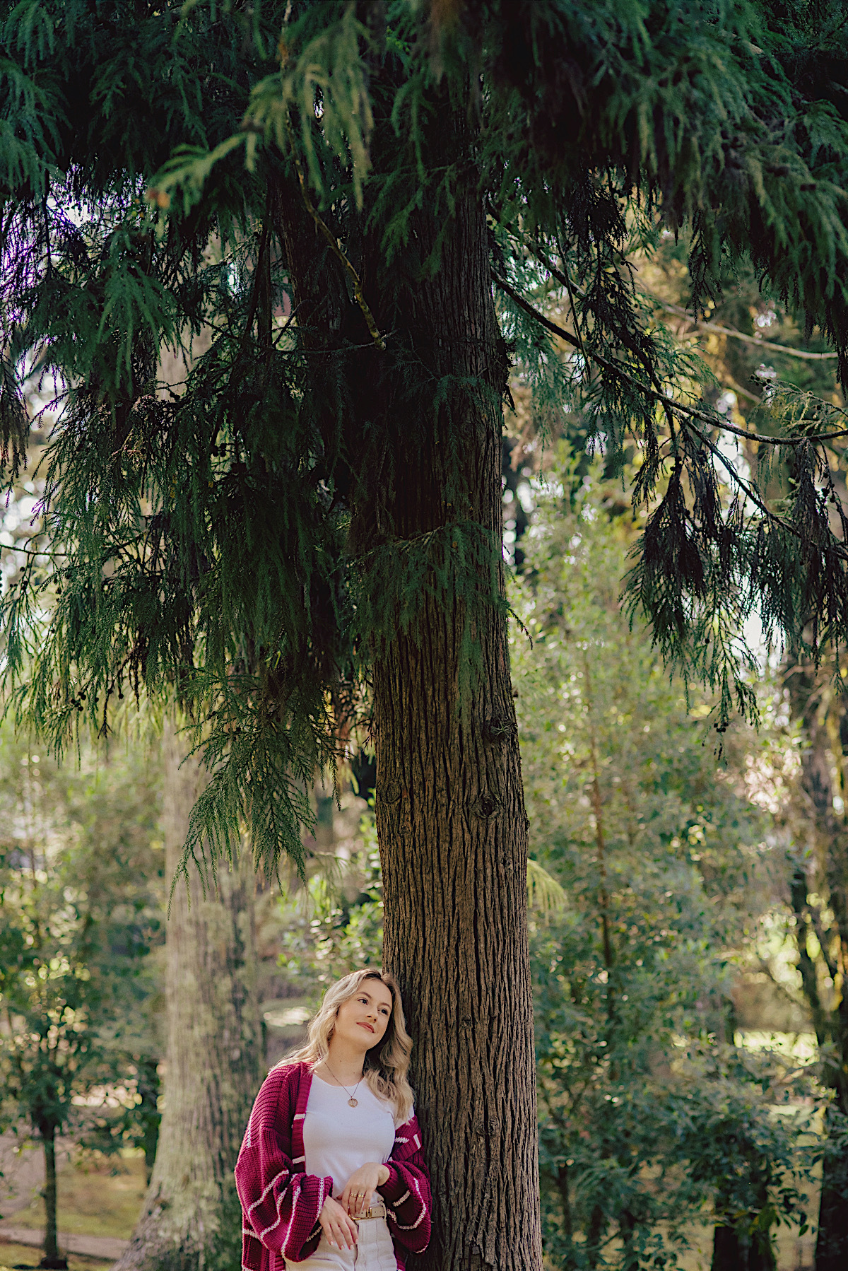ensaio profissional - paola muehlbauer - teologa - escritora - deus - chroma fotografia - sao bento do sul
