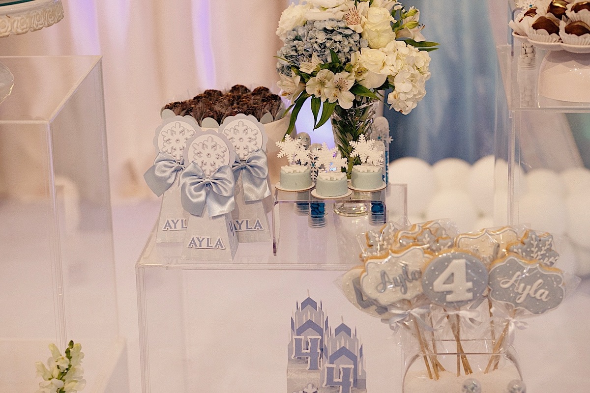 aniversario - aniversario infantil - ayla 4 anos - aniversario ayla - fotografos jaragua so sul - fotografia infantil - tema frozen - jaragua do sul - chroma fotografia 