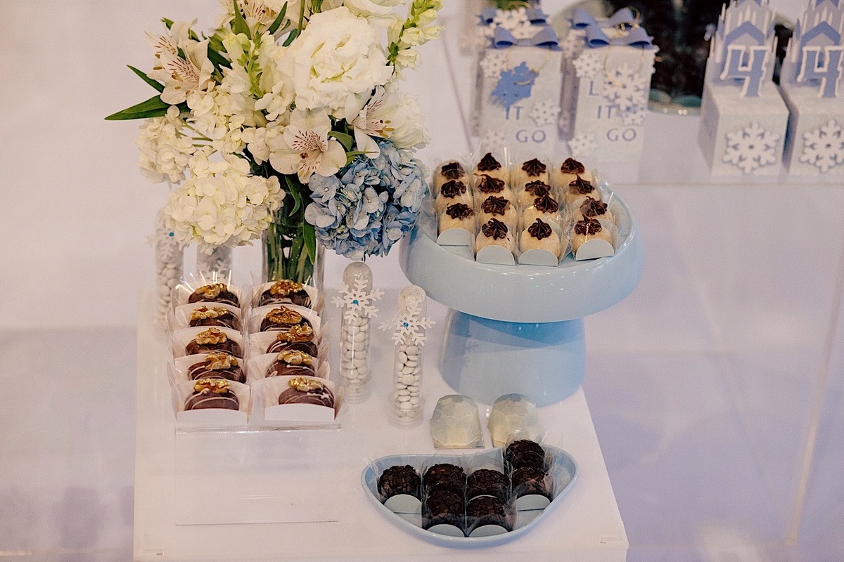 aniversario - aniversario infantil - ayla 4 anos - aniversario ayla - fotografos jaragua so sul - fotografia infantil - tema frozen - jaragua do sul - chroma fotografia 