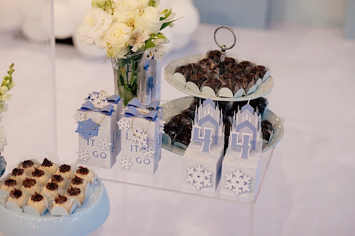 aniversario - aniversario infantil - ayla 4 anos - aniversario ayla - fotografos jaragua so sul - fotografia infantil - tema frozen - jaragua do sul - chroma fotografia 