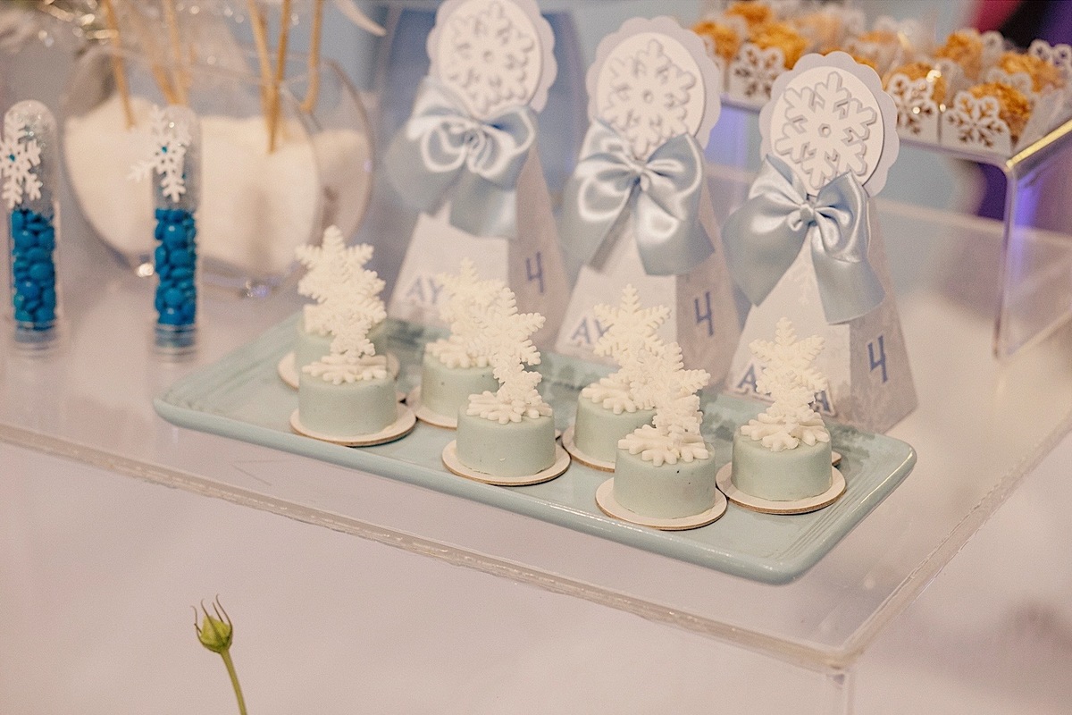 aniversario - aniversario infantil - ayla 4 anos - aniversario ayla - fotografos jaragua so sul - fotografia infantil - tema frozen - jaragua do sul - chroma fotografia 