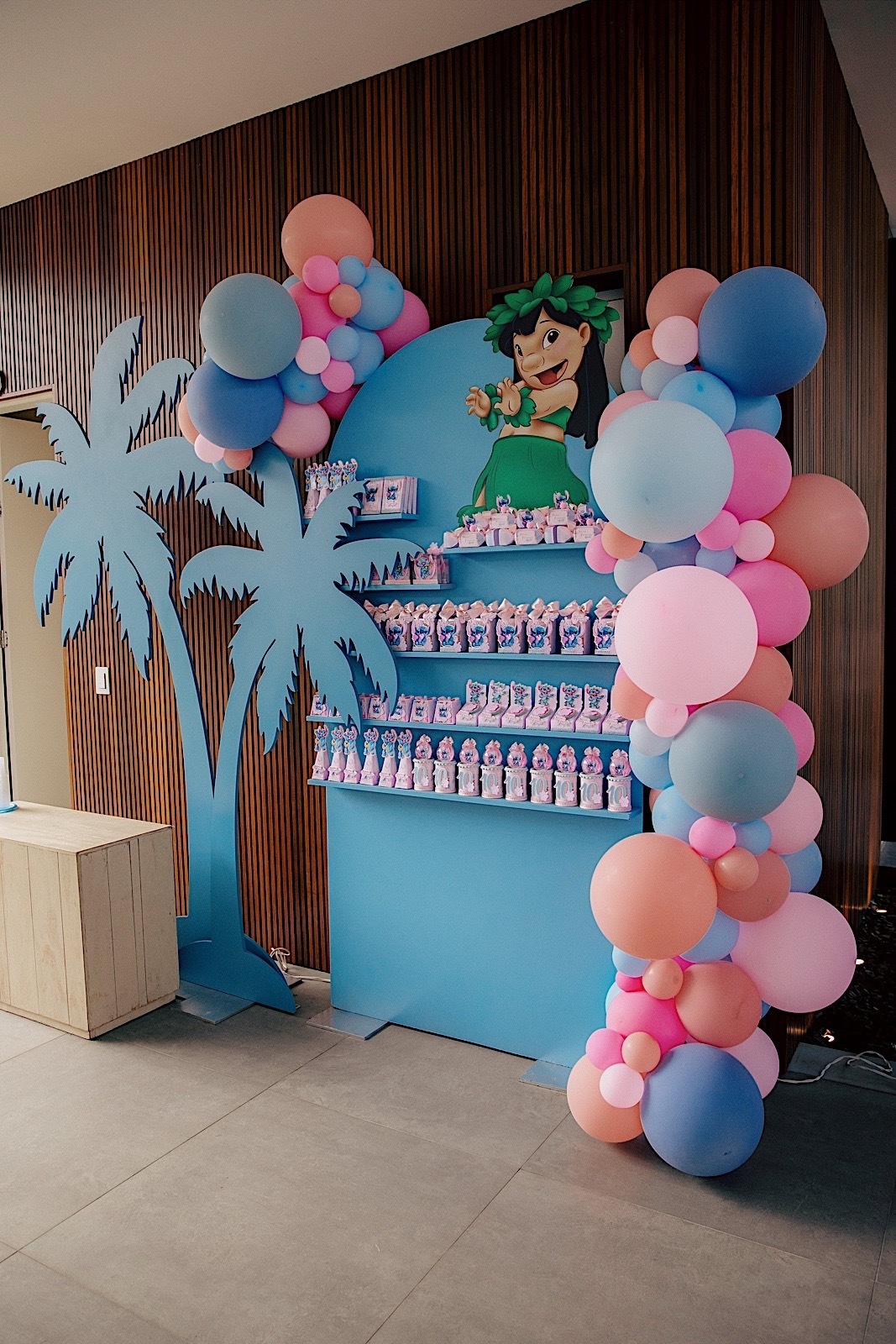 aniversario - aniversario infantil - Maria Eduarda 10 anos - tema Lilo & Stich - fotografia de familia - fotografos jaragua do sul - chroma fotografia 