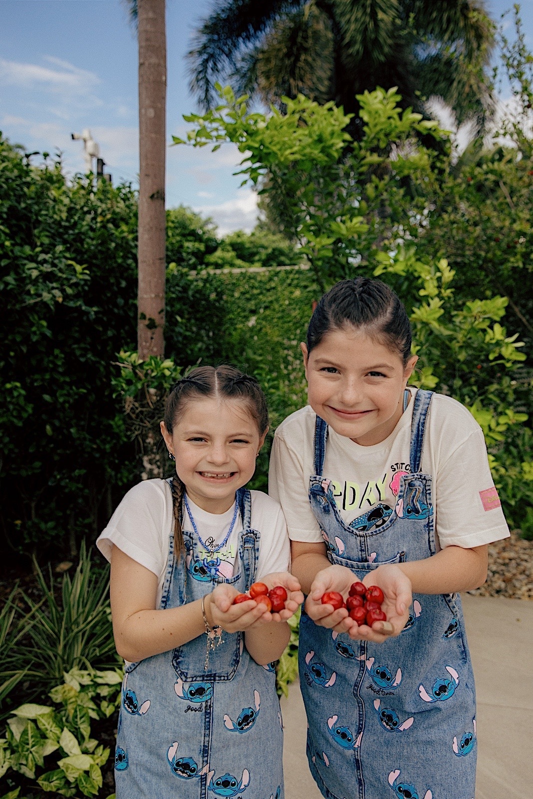 aniversario - aniversario infantil - Maria Eduarda 10 anos - tema Lilo & Stich - fotografia de familia - fotografos jaragua do sul - chroma fotografia 