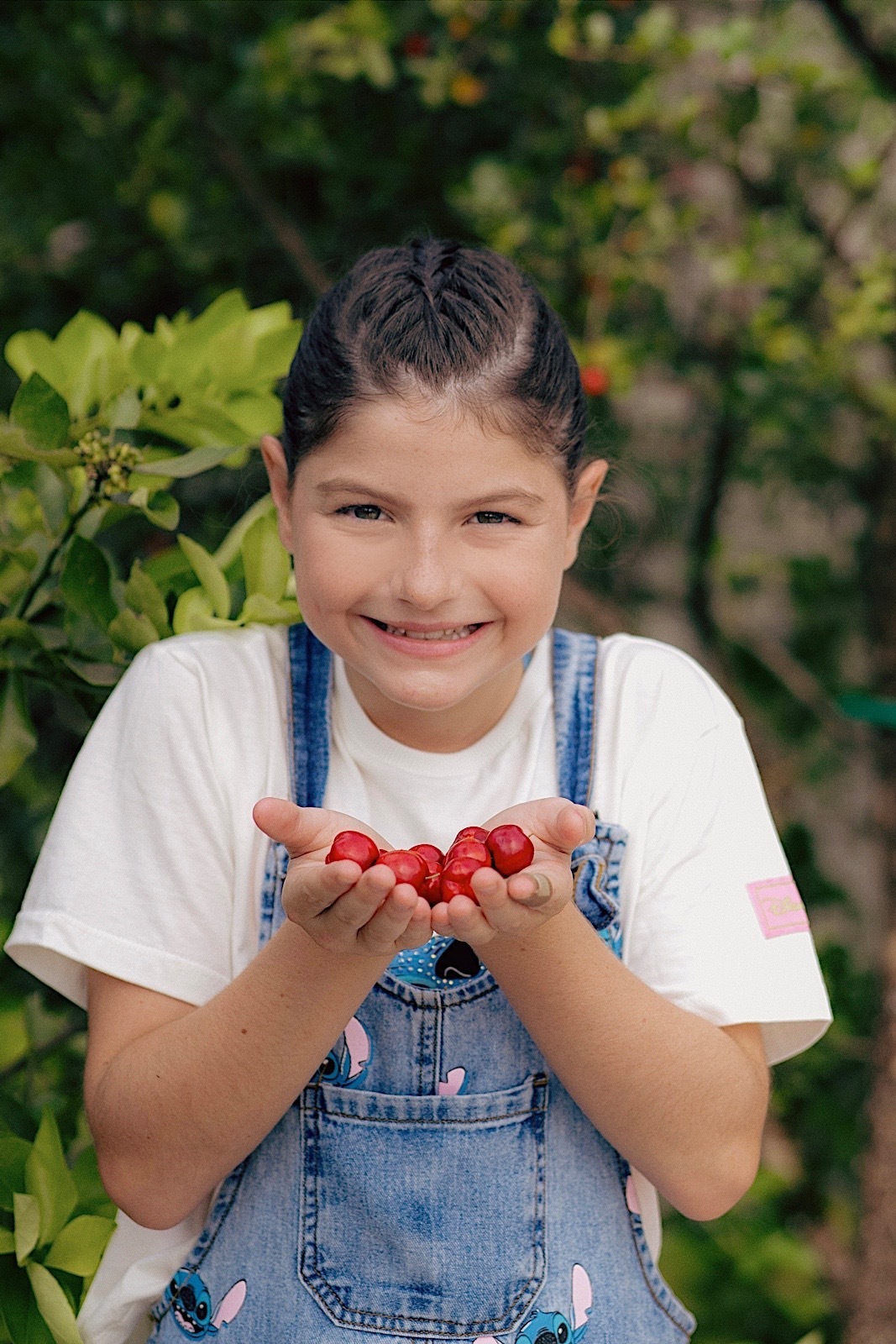 aniversario - aniversario infantil - Maria Eduarda 10 anos - tema Lilo & Stich - fotografia de familia - fotografos jaragua do sul - chroma fotografia 