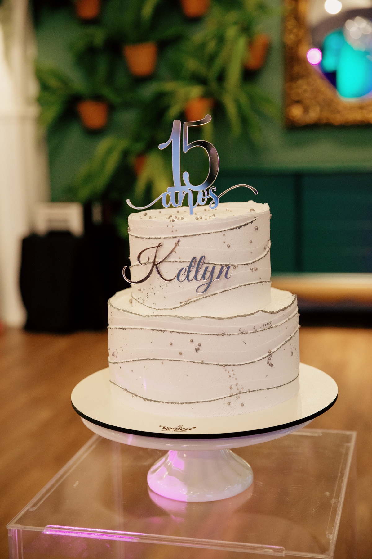 aniversario - aniversario de 15 anos - 15 anos - ketlyn 15 anos - festa de 15 anos - fotografia de familia - fotografos jaragua do sul - chroma fotografia