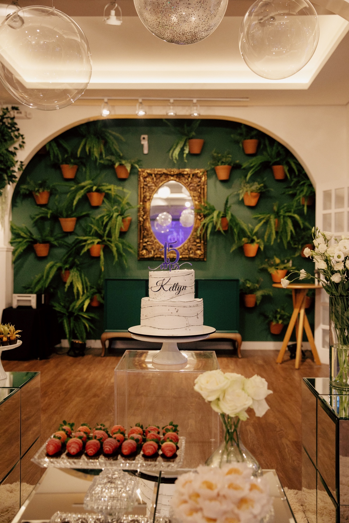 aniversario - aniversario de 15 anos - 15 anos - ketlyn 15 anos - festa de 15 anos - fotografia de familia - fotografos jaragua do sul - chroma fotografia