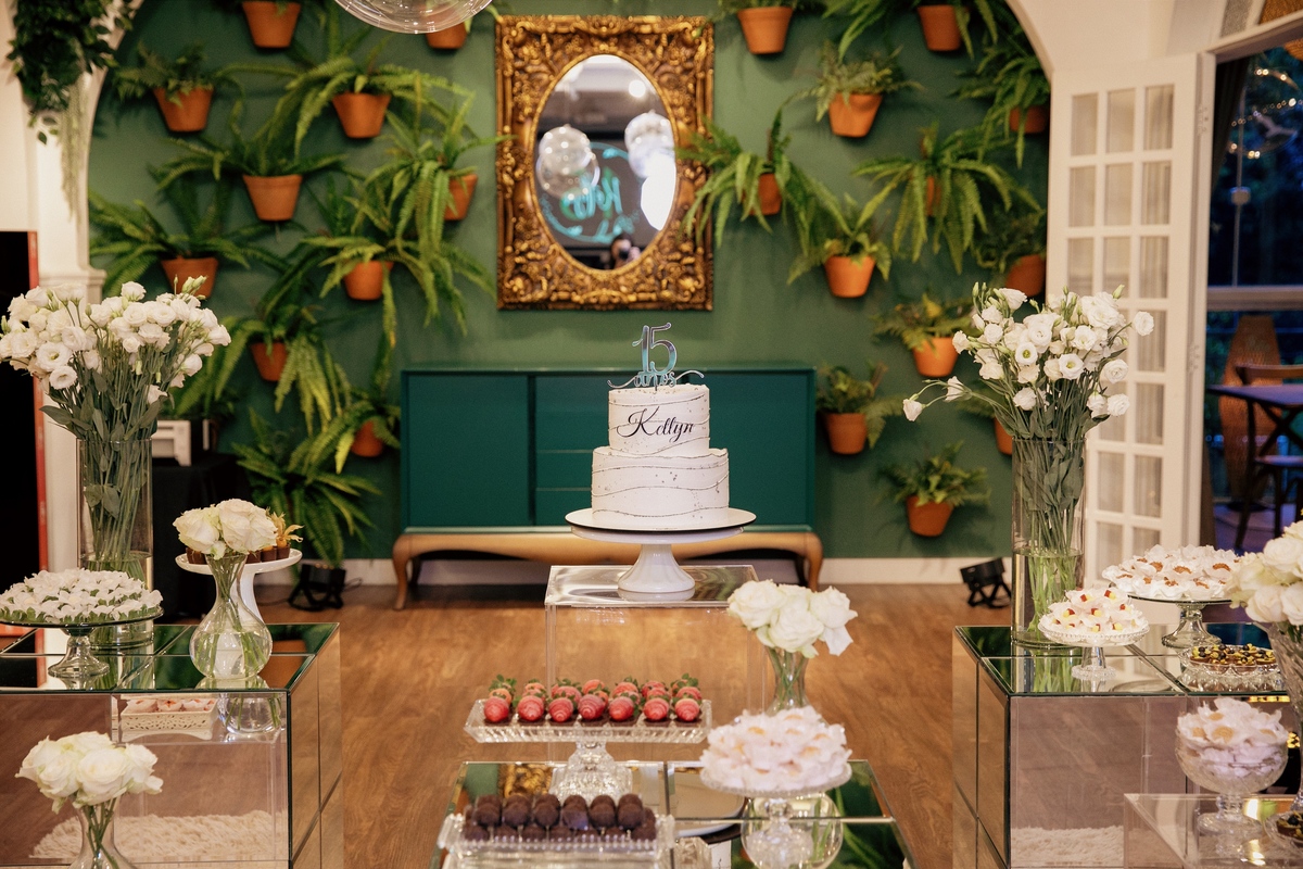 aniversario - aniversario de 15 anos - 15 anos - ketlyn 15 anos - festa de 15 anos - fotografia de familia - fotografos jaragua do sul - chroma fotografia