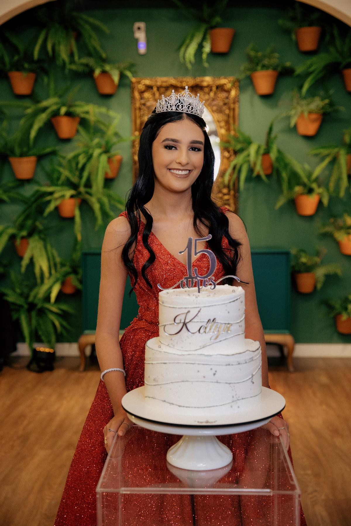 aniversario - aniversario de 15 anos - 15 anos - ketlyn 15 anos - festa de 15 anos - fotografia de familia - fotografos jaragua do sul - chroma fotografia