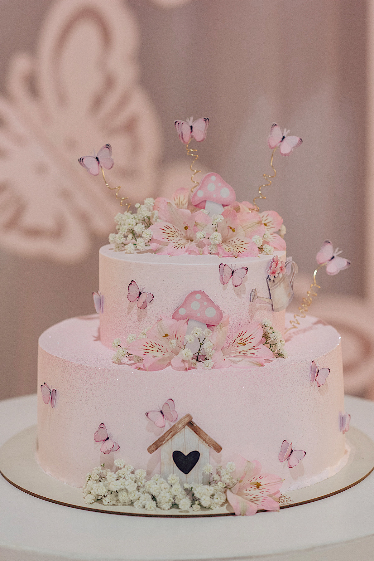 aniversario - laura - 1 ano - aero - sao bento do sul - chroma fotografia