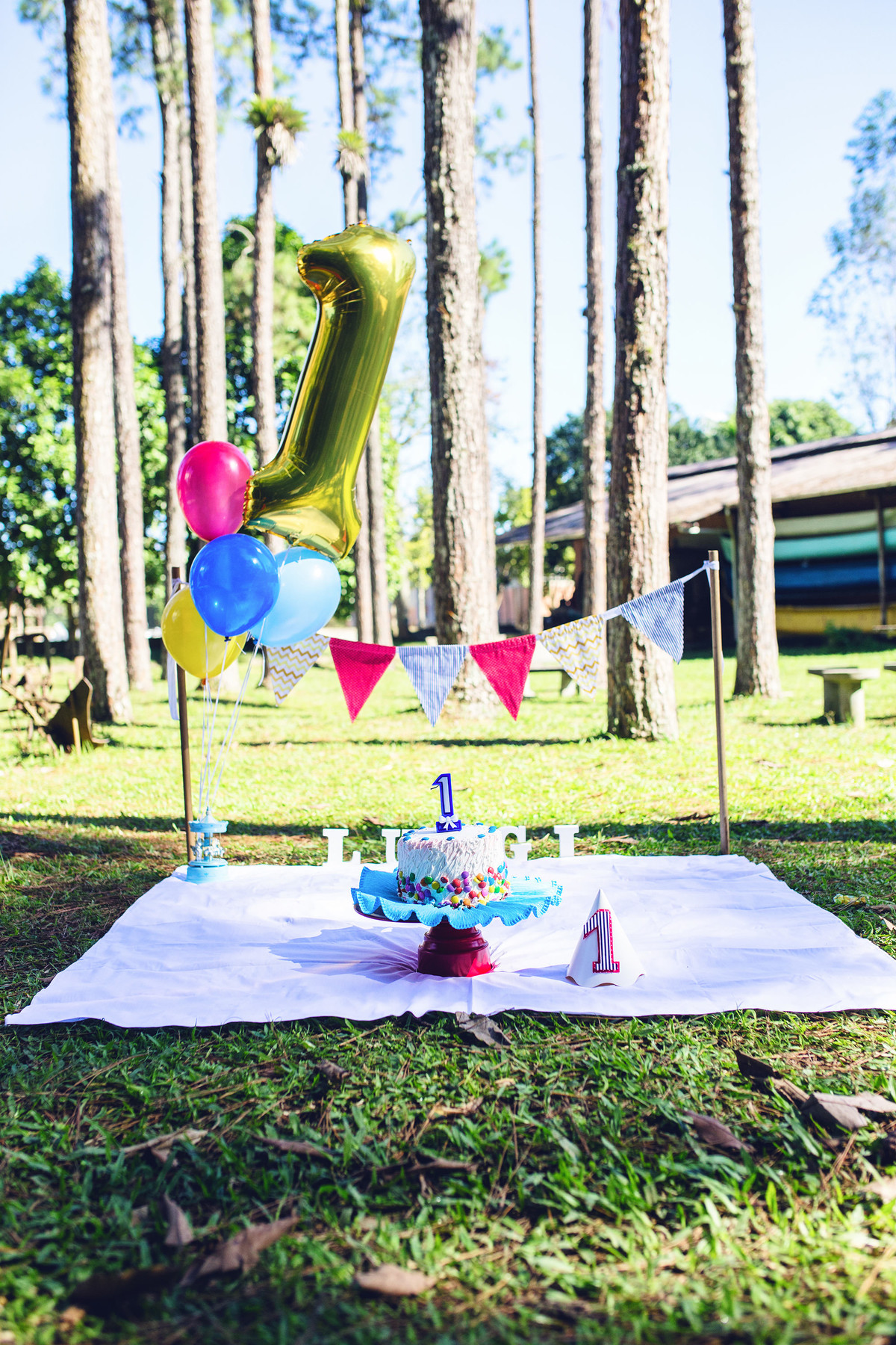 ensaio fotográfico - smash the cake - luigi