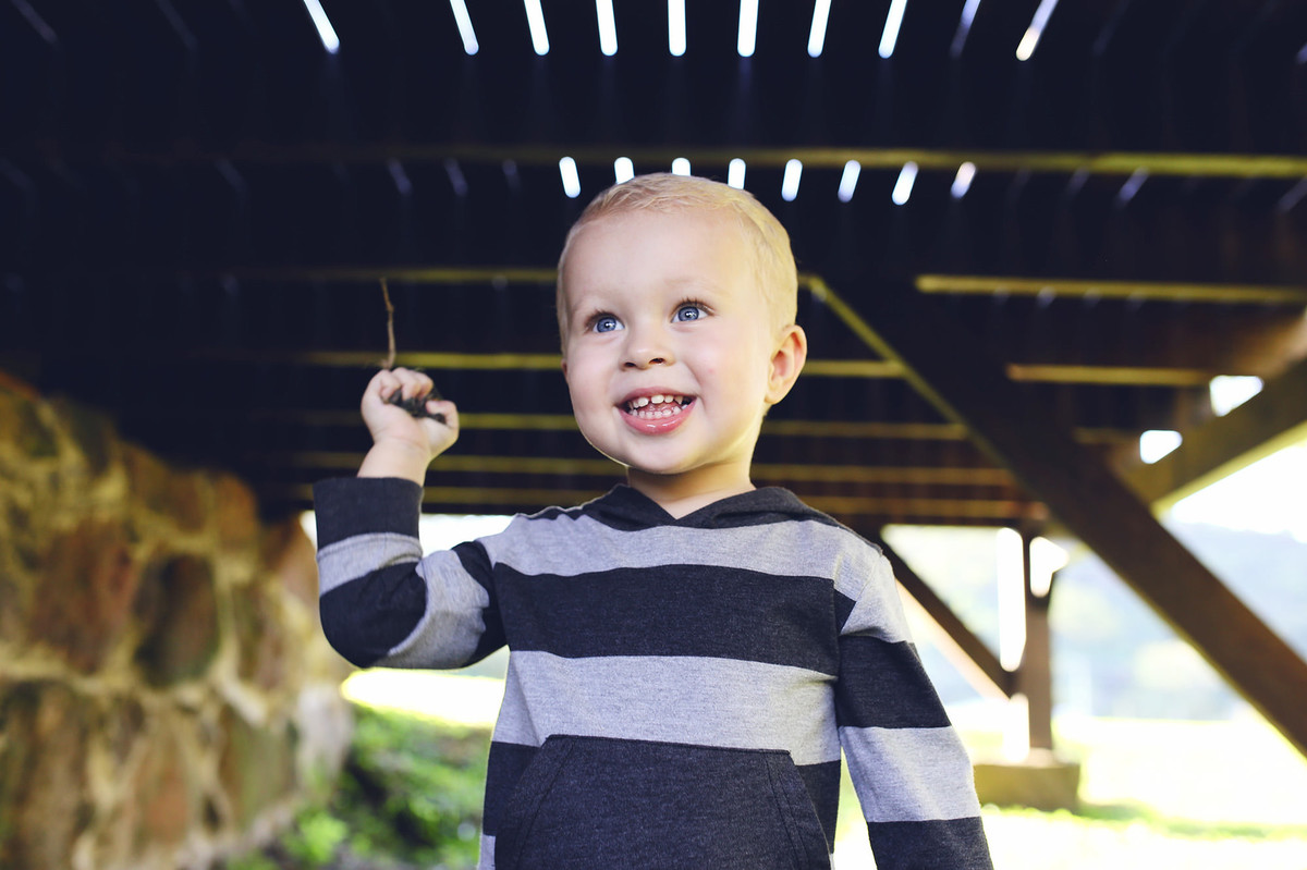 ensaio fotográfico - Enzo _ família - ensaio de 2 anos - jaraguá do sul - chroma fotografia