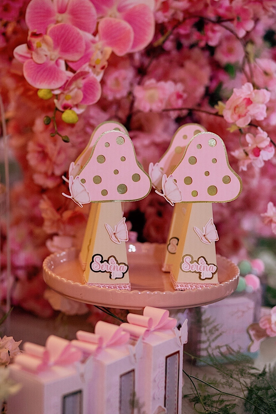 aniversario - aniversario infantil - festa de aniversario - 1 ano Serena - primeiro aninho - jardim encantado - Jaragua do sul - fotografos jaragua do sul