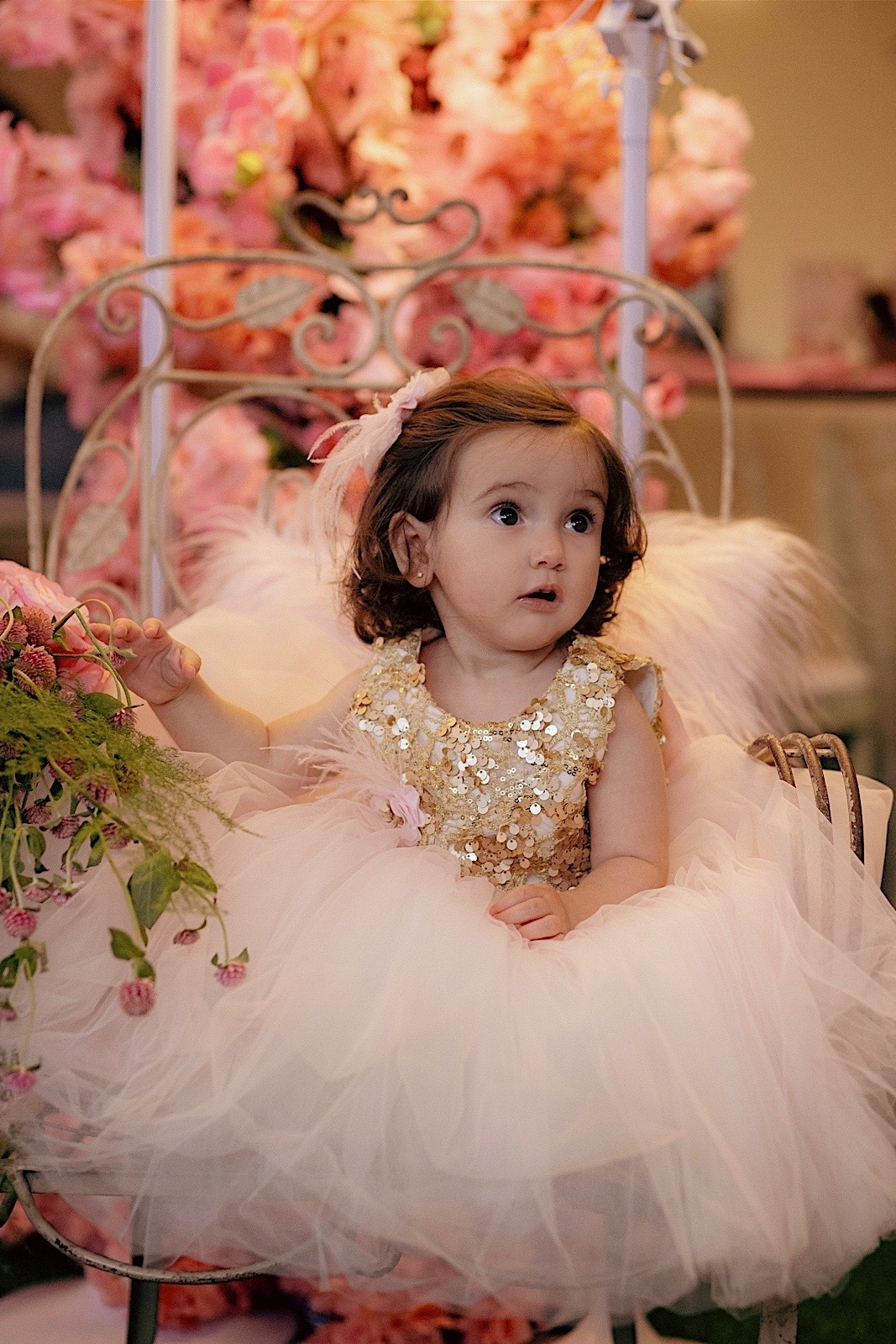 aniversario - aniversario infantil - festa de aniversario - 1 ano Serena - primeiro aninho - jardim encantado - Jaragua do sul - fotografos jaragua do sul