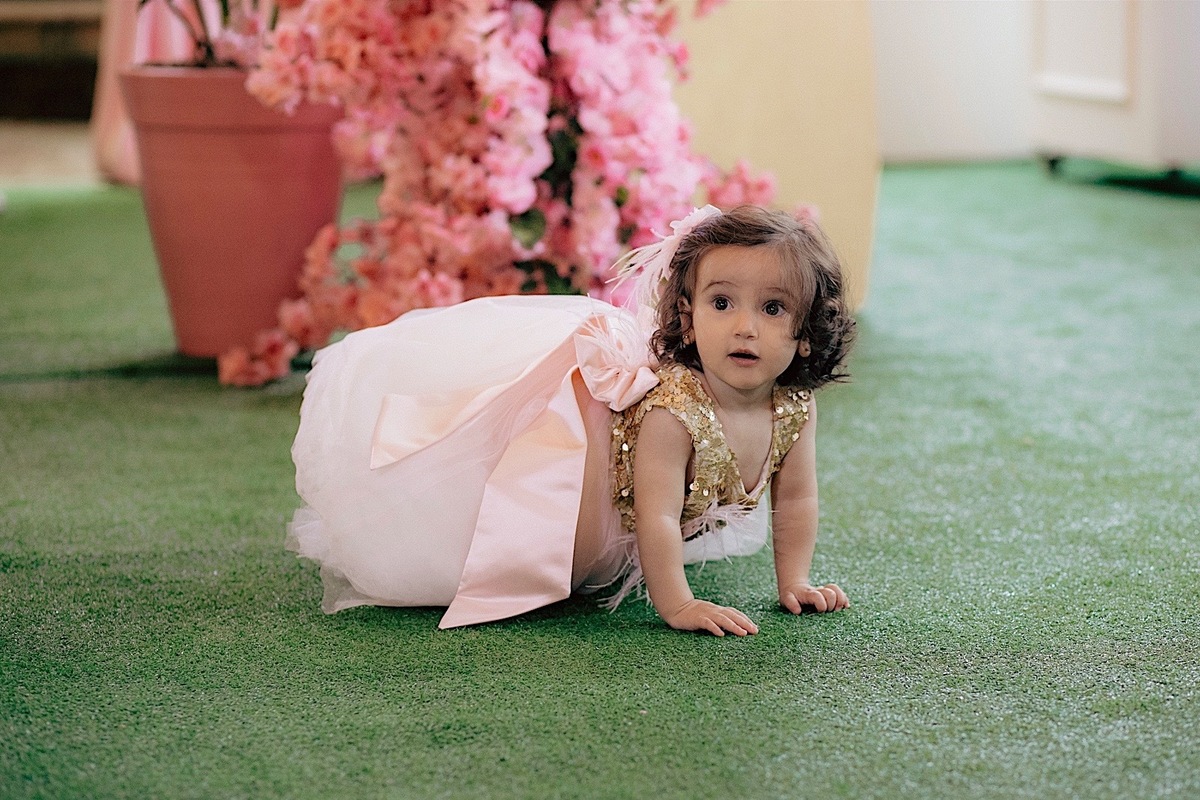 aniversario - aniversario infantil - festa de aniversario - 1 ano Serena - primeiro aninho - jardim encantado - Jaragua do sul - fotografos jaragua do sul