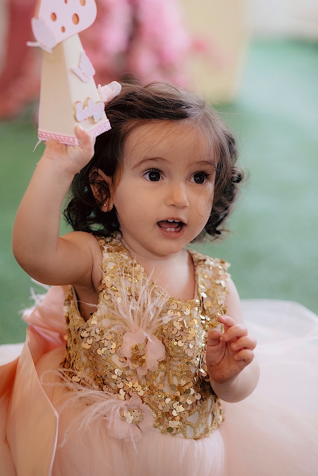 aniversario - aniversario infantil - festa de aniversario - 1 ano Serena - primeiro aninho - jardim encantado - Jaragua do sul - fotografos jaragua do sul