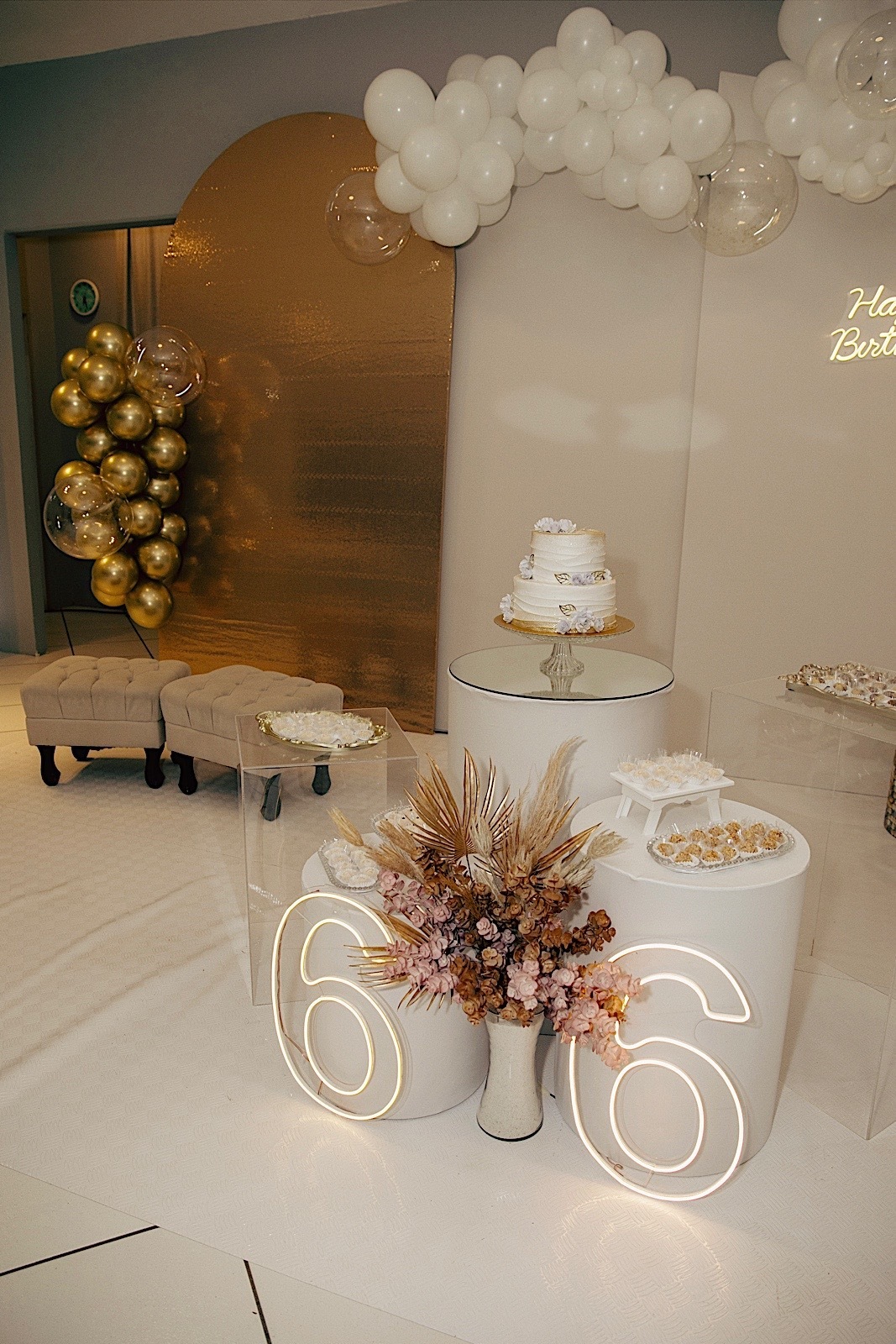 aniversario - aniversario adulto - festa de aniversario - aniversario Sonia 66 anos - fotografioa de familia - fotografos jaragua do sul - chroma fotografia