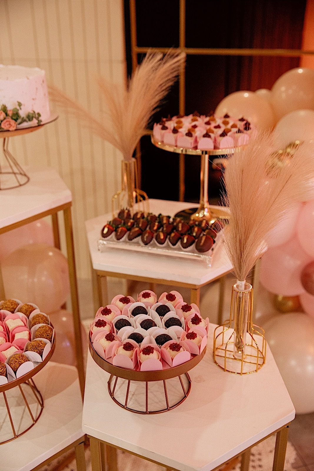 aniversario - aniversario de adulto - festa de aniversario - Ieda 60 anos - fotografia de familia - fotografos jaragua do sul - chroma fotografia