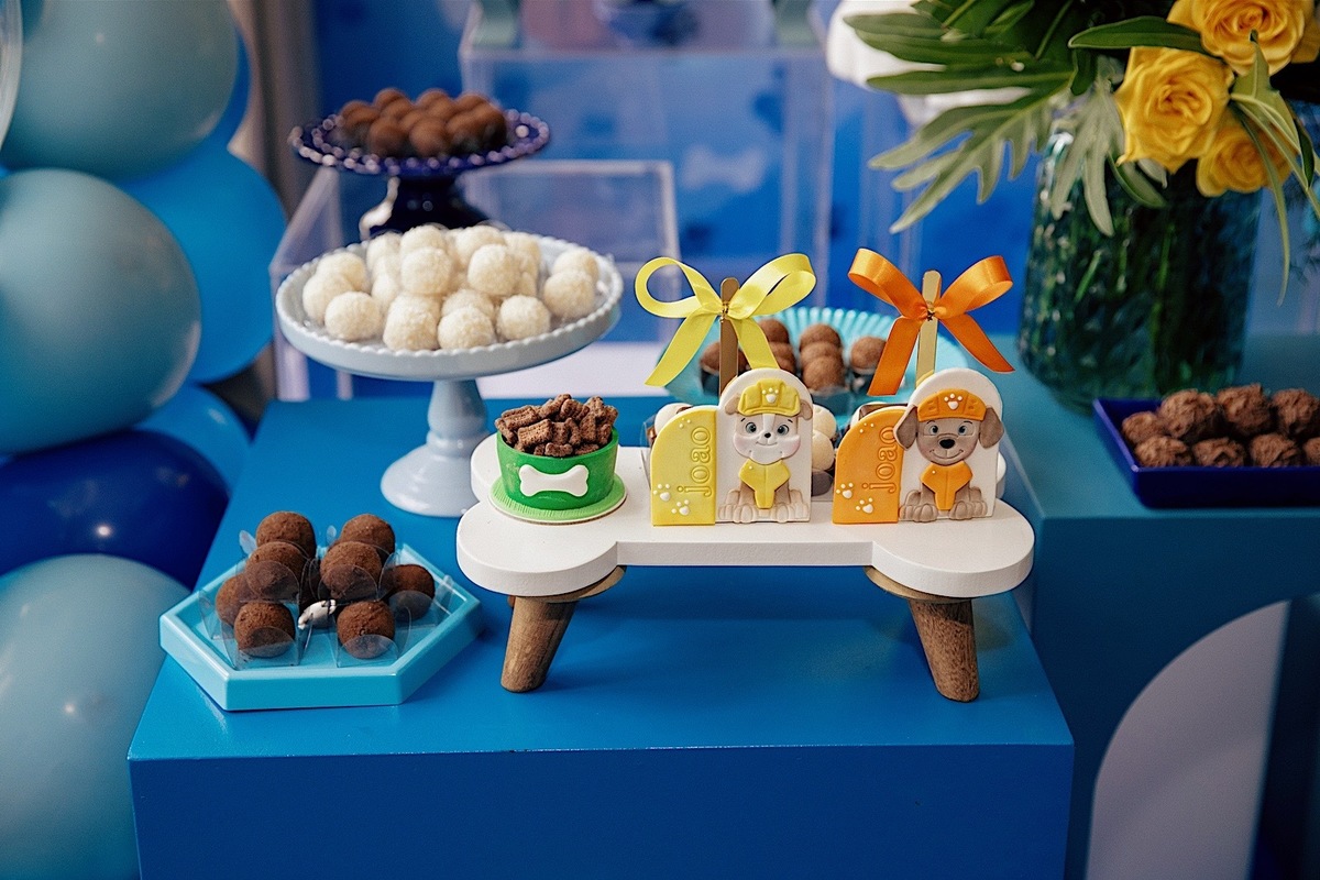  aniversario - aniverasario infantil - aniversario joao 3 anos - fotografia infantil - fotografos jaragua do sul - tema patrulha canina - chroma fotografia