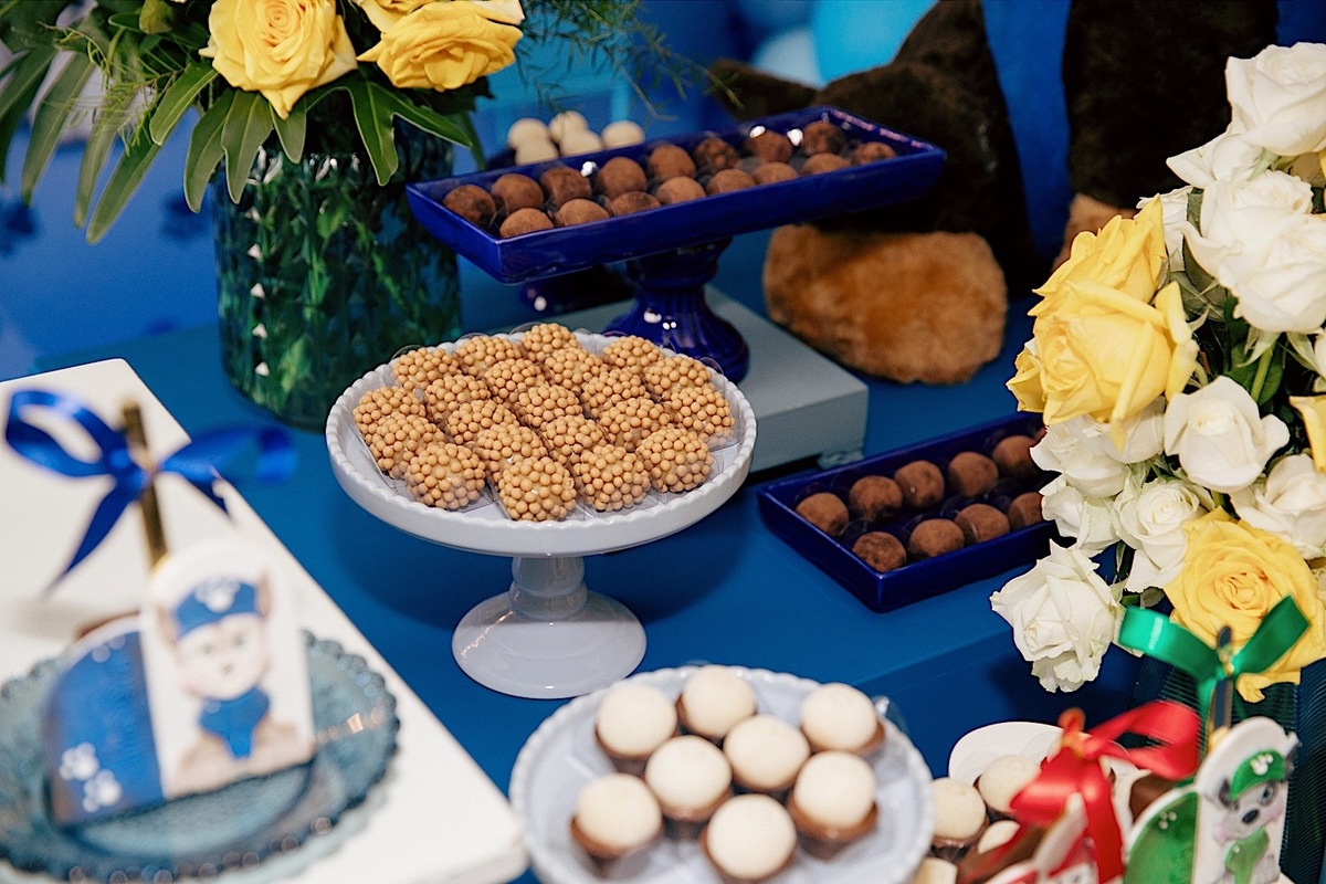  aniversario - aniverasario infantil - aniversario joao 3 anos - fotografia infantil - fotografos jaragua do sul - tema patrulha canina - chroma fotografia