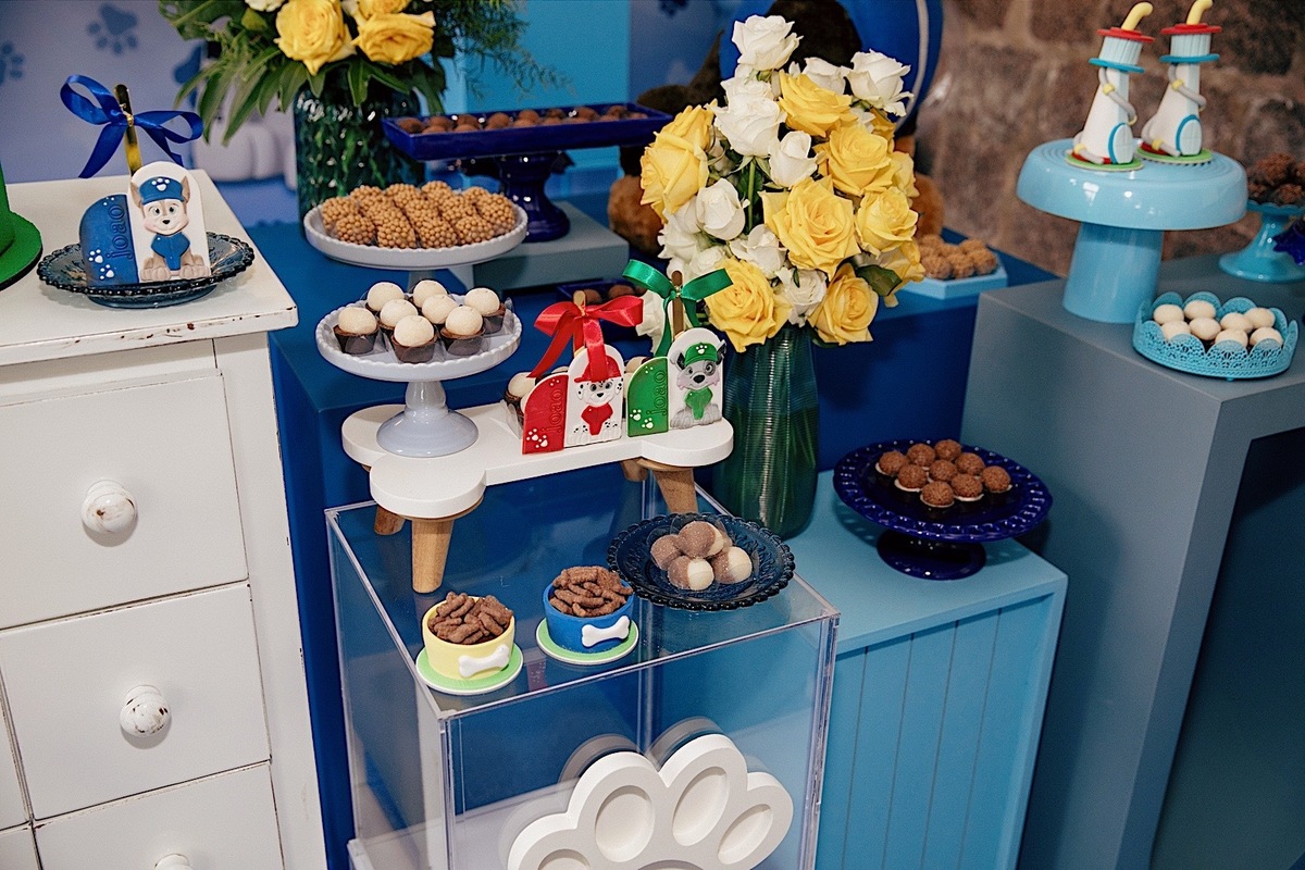  aniversario - aniverasario infantil - aniversario joao 3 anos - fotografia infantil - fotografos jaragua do sul - tema patrulha canina - chroma fotografia