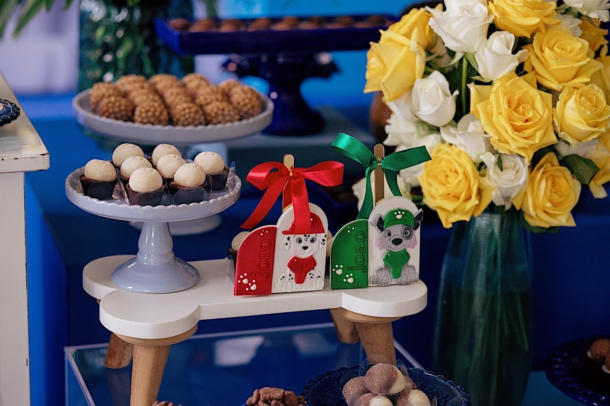  aniversario - aniverasario infantil - aniversario joao 3 anos - fotografia infantil - fotografos jaragua do sul - tema patrulha canina - chroma fotografia