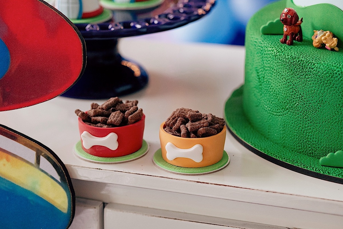  aniversario - aniverasario infantil - aniversario joao 3 anos - fotografia infantil - fotografos jaragua do sul - tema patrulha canina - chroma fotografia