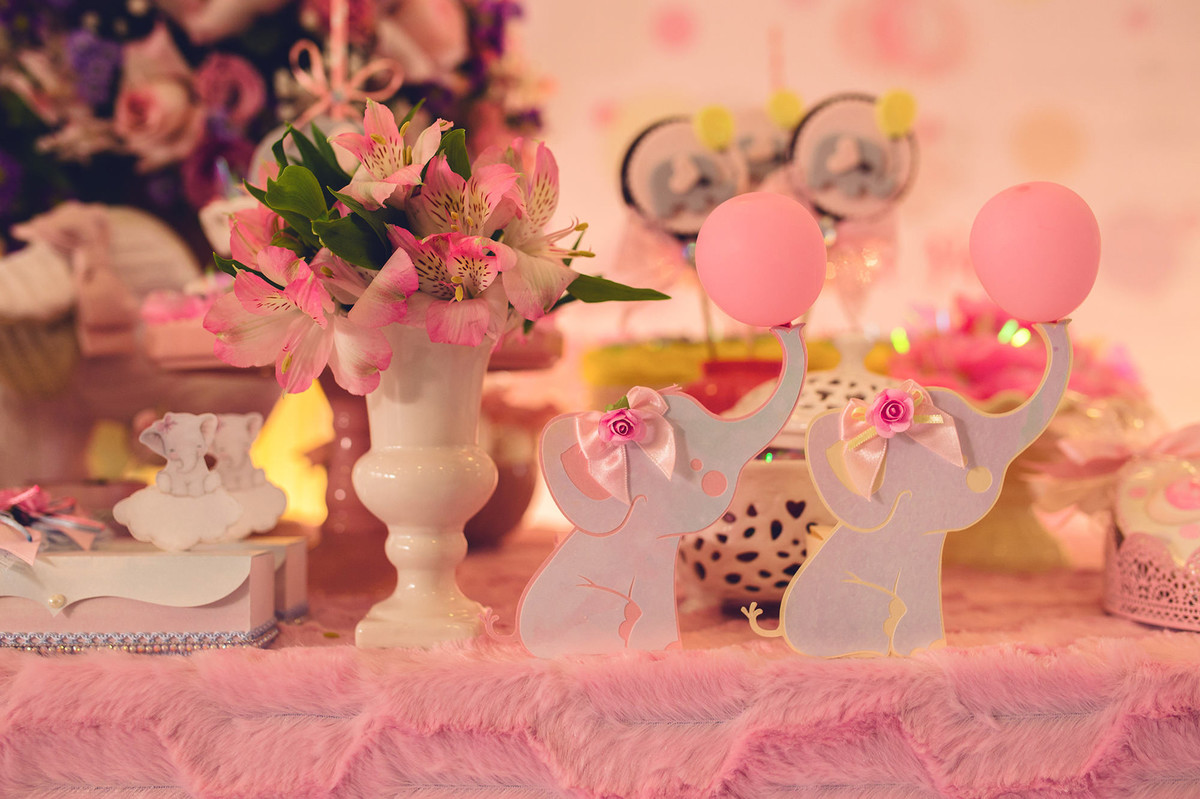 aniversário - Maria Paula 1º Aninho - tema elefante - Jaraguá do Sul - chroma fotografia