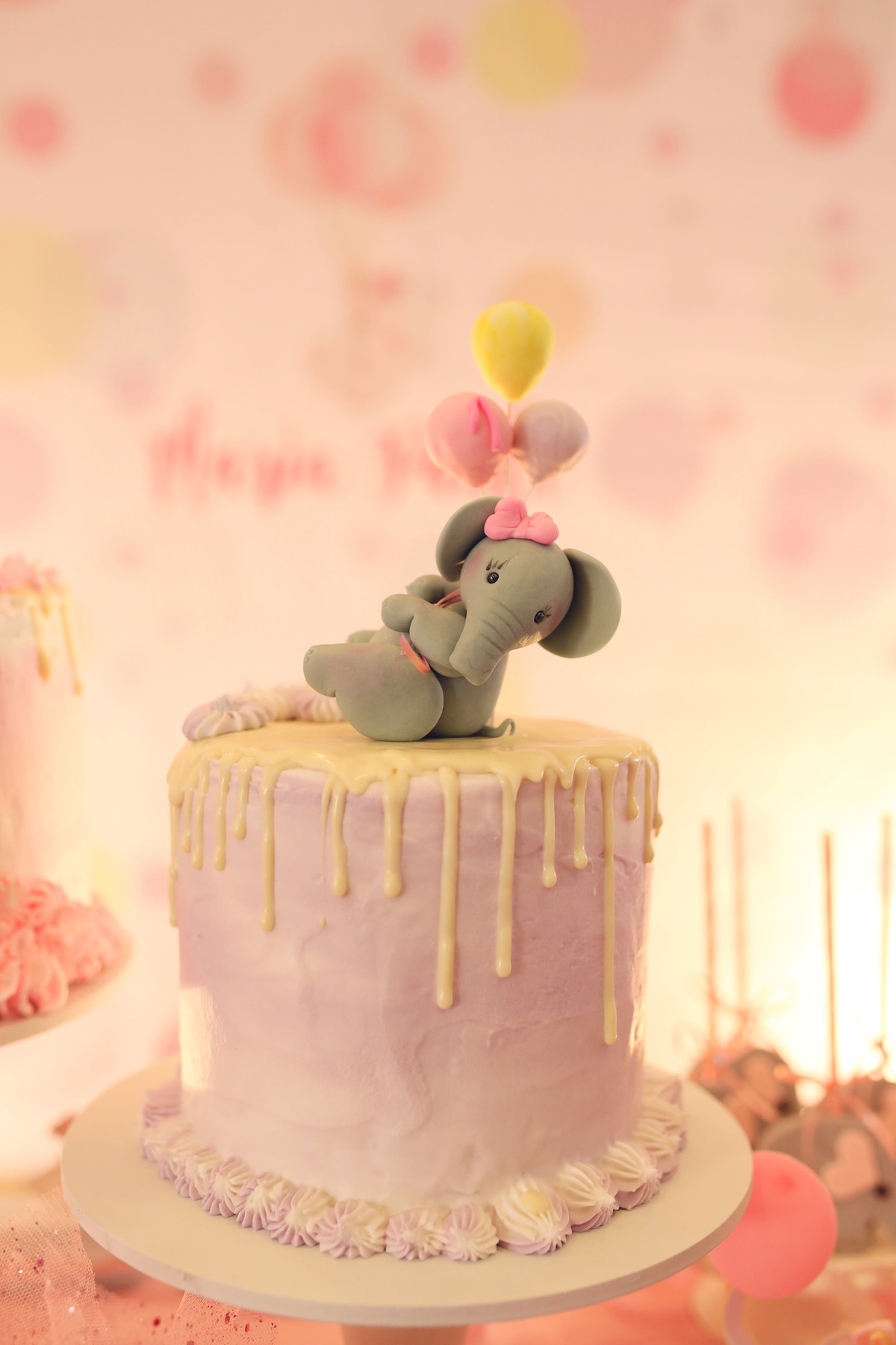 aniversário - Maria Paula 1º Aninho - tema elefante - Jaraguá do Sul - chroma fotografia