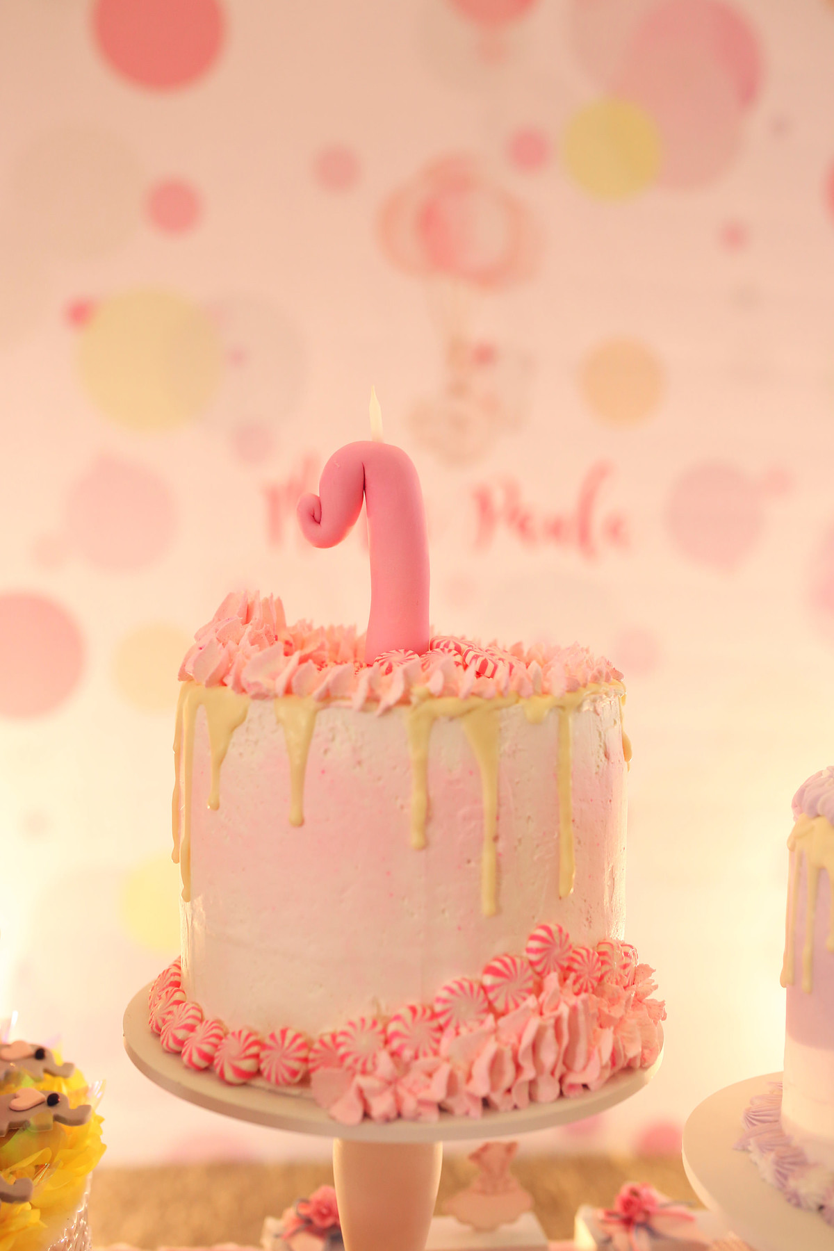 aniversário - Maria Paula 1º Aninho - tema elefante - Jaraguá do Sul - chroma fotografia