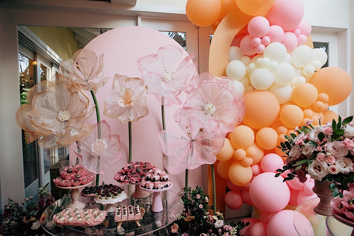 aniversario - aniversario de 15 anos - 15 anos Ana Carolina - festa de aniversário - fotografos jaragua do sul - fotografia de familia - chroma fotografia