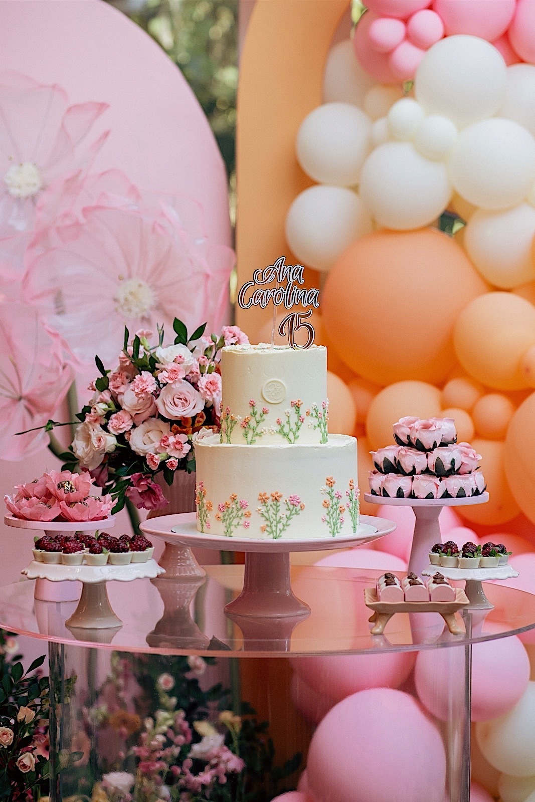 aniversario - aniversario de 15 anos - 15 anos Ana Carolina - festa de aniversário - fotografos jaragua do sul - fotografia de familia - chroma fotografia