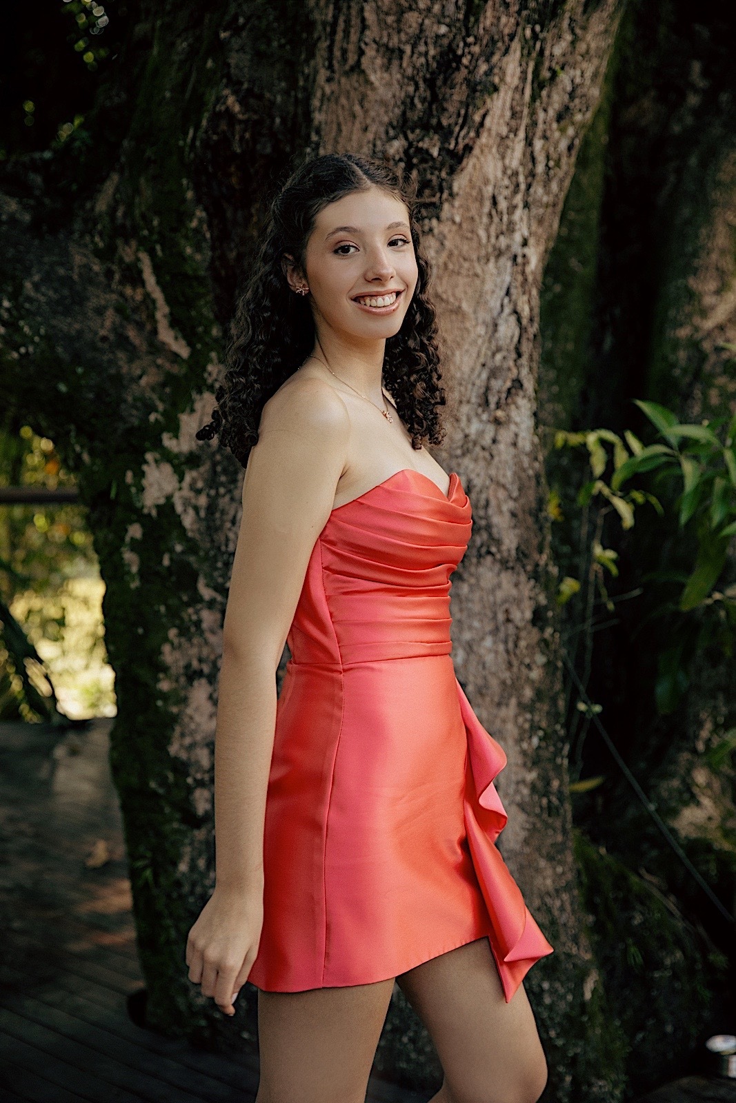 aniversario - aniversario de 15 anos - 15 anos Ana Carolina - festa de aniversário - fotografos jaragua do sul - fotografia de familia - chroma fotografia