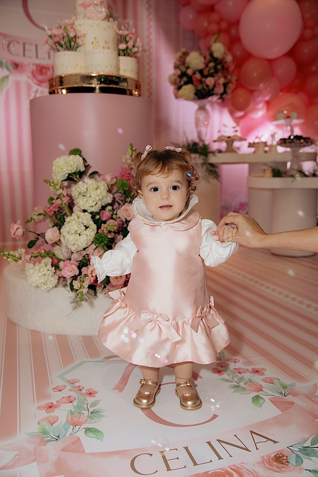 aniversario - aniversario infantil - aniversario de 1 ano - primeiro aninho Celina - tema jardim - fotografos jaragua do sul - chroma fotografia