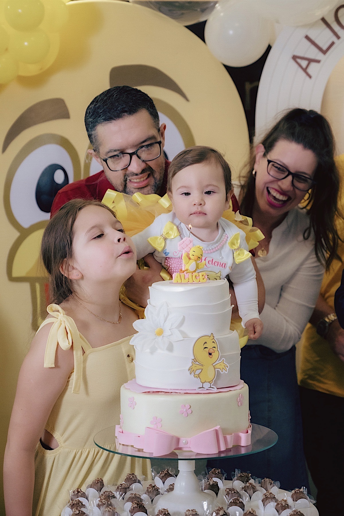 aniversario - 1 ano - sao bento do sul - ginastico - pintinho amarelinho - foto e video - chroma fotografia - festa infantil - planalto norte - fotografo de crianca