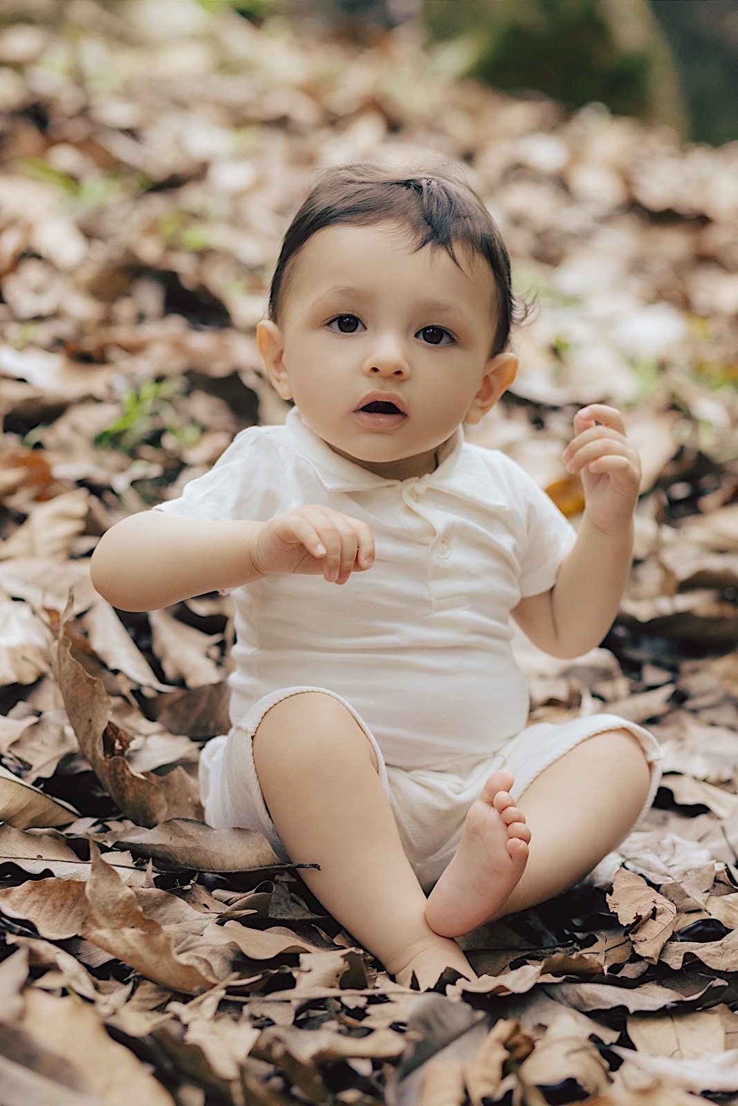 ensaio infantil - ensaio familia - ensaio externo - ensaio no parque da malwee - fotografos jaragua do sul - fotografia infantil - fotografia de familia - chroma fotografia