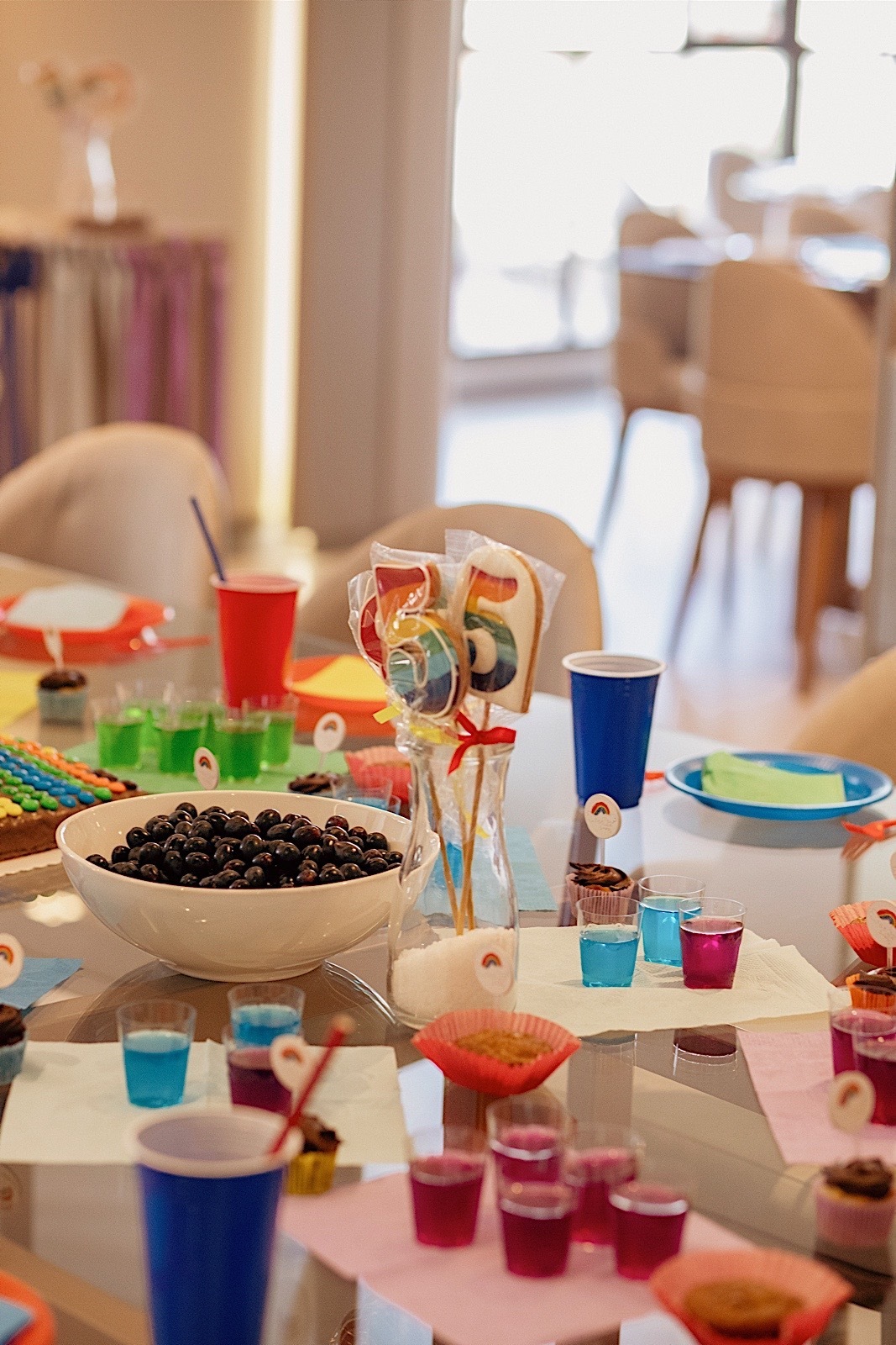 aniversario - aniversario infantil - festa de aniversario - giulia 5 anos - fotografia infantil - fotografos jaragua do sul - chroma fotografia 