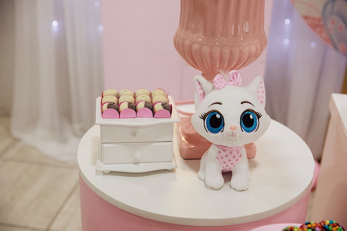 aniversario - aniversario infantil - festa de aniversario - tema marie - liz catarina 1 ano - primeiro aninho - fotografia infantil - fotografos jaragua do sul - chroma fotografia