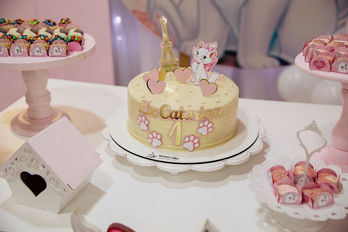 aniversario - aniversario infantil - festa de aniversario - tema marie - liz catarina 1 ano - primeiro aninho - fotografia infantil - fotografos jaragua do sul - chroma fotografia
