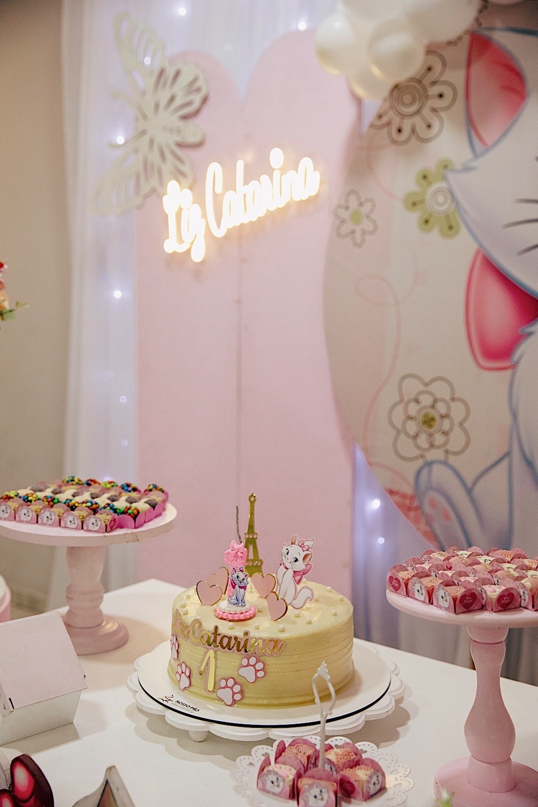 aniversario - aniversario infantil - festa de aniversario - tema marie - liz catarina 1 ano - primeiro aninho - fotografia infantil - fotografos jaragua do sul - chroma fotografia