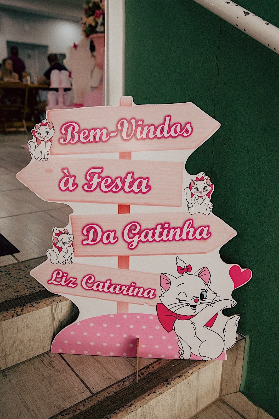 aniversario - aniversario infantil - festa de aniversario - tema marie - liz catarina 1 ano - primeiro aninho - fotografia infantil - fotografos jaragua do sul - chroma fotografia