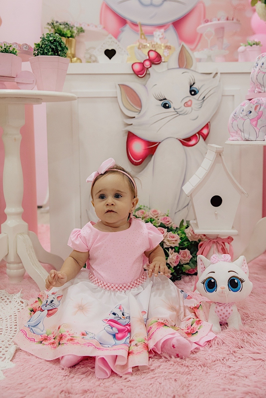 aniversario - aniversario infantil - festa de aniversario - tema marie - liz catarina 1 ano - primeiro aninho - fotografia infantil - fotografos jaragua do sul - chroma fotografia