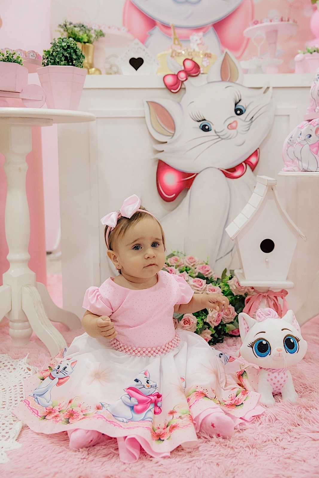 aniversario - aniversario infantil - festa de aniversario - tema marie - liz catarina 1 ano - primeiro aninho - fotografia infantil - fotografos jaragua do sul - chroma fotografia