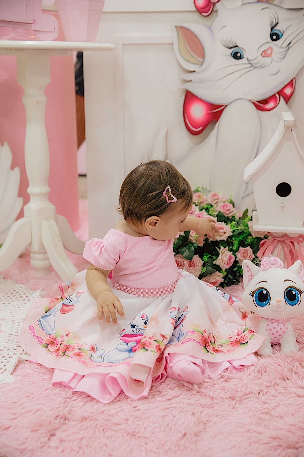 aniversario - aniversario infantil - festa de aniversario - tema marie - liz catarina 1 ano - primeiro aninho - fotografia infantil - fotografos jaragua do sul - chroma fotografia