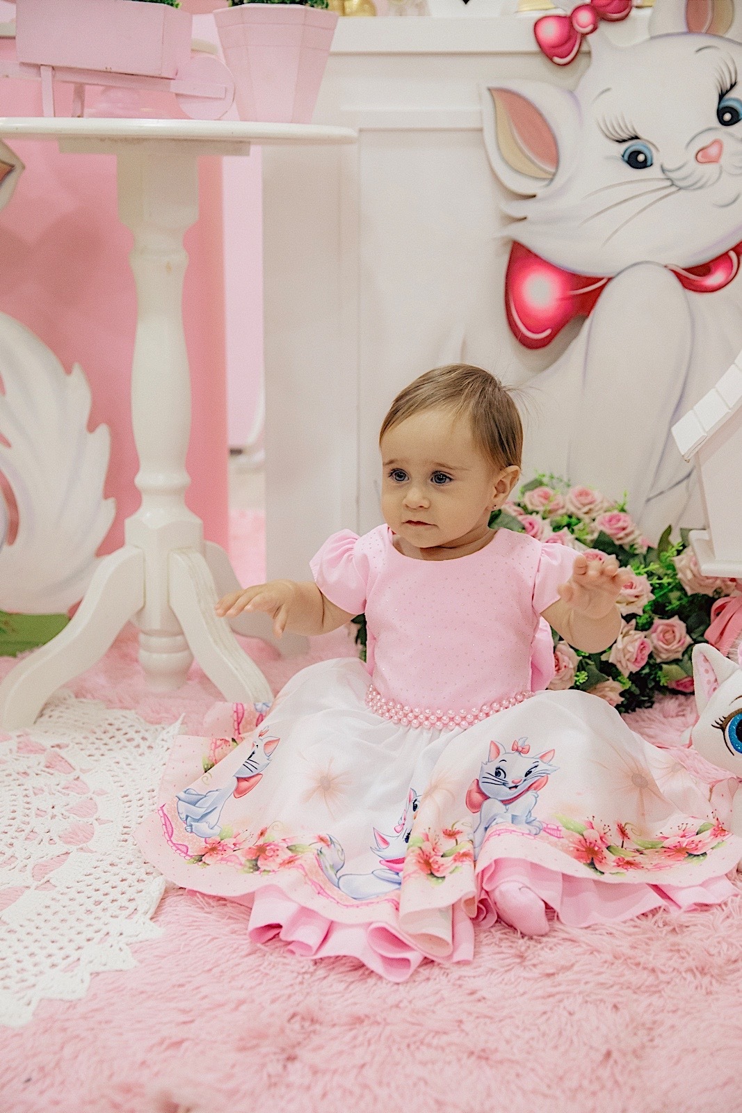 aniversario - aniversario infantil - festa de aniversario - tema marie - liz catarina 1 ano - primeiro aninho - fotografia infantil - fotografos jaragua do sul - chroma fotografia