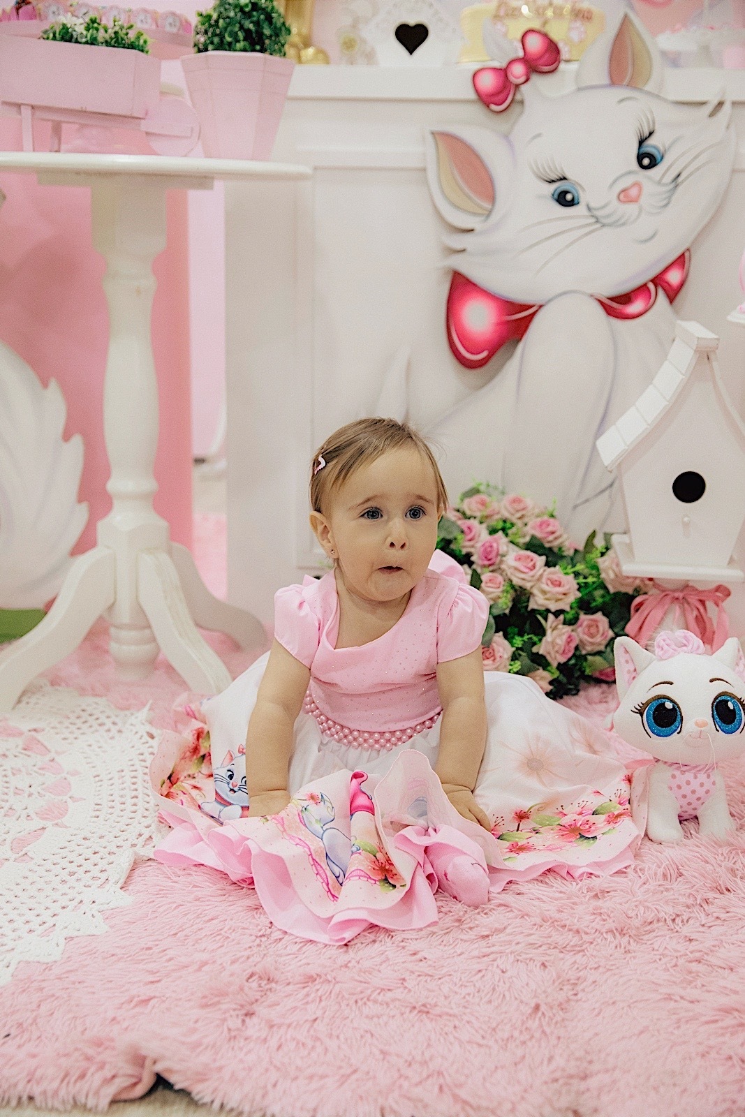 aniversario - aniversario infantil - festa de aniversario - tema marie - liz catarina 1 ano - primeiro aninho - fotografia infantil - fotografos jaragua do sul - chroma fotografia